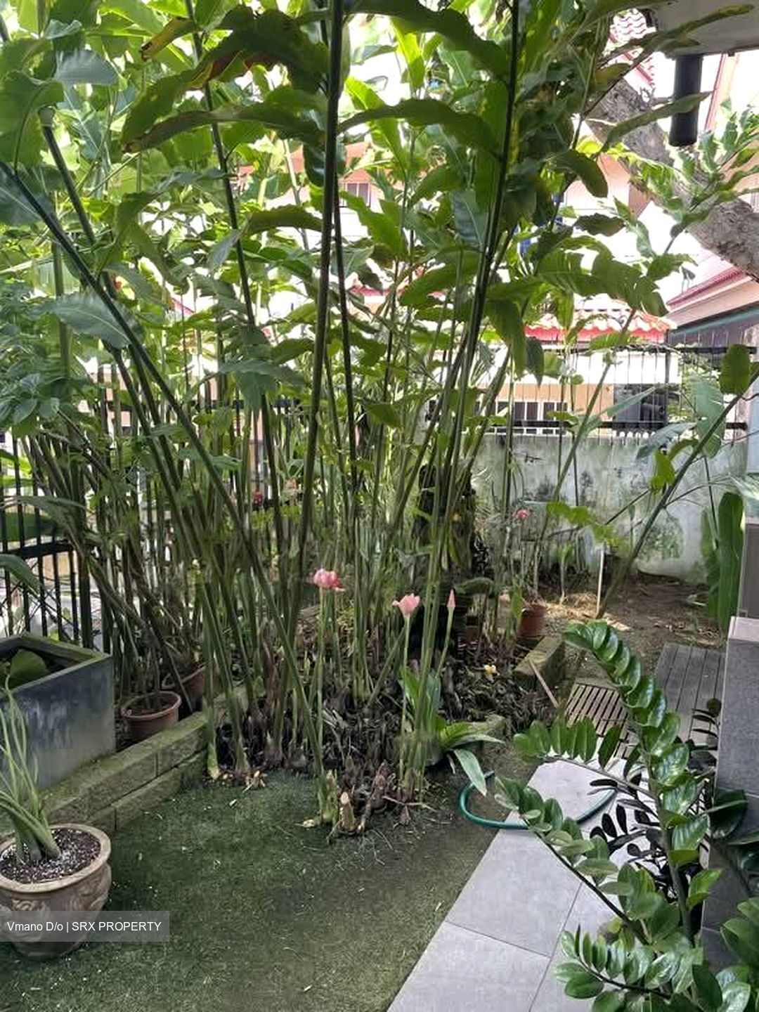 Lucky Hills (D16), Semi-Detached #543867571